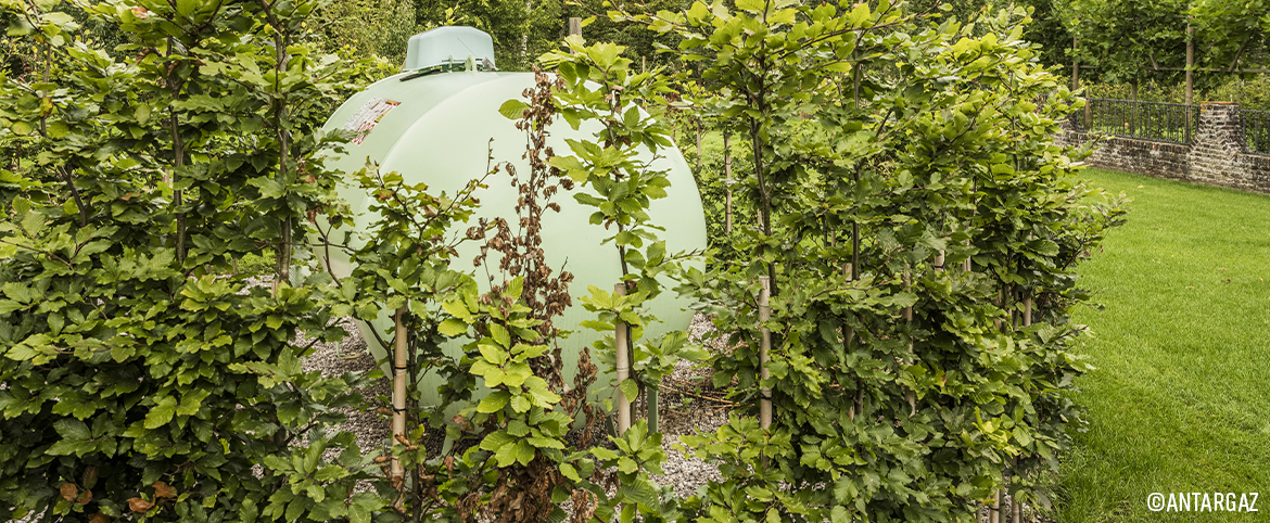 Antargaz Belgium lance le gaz compensé en CO2 Antargaz Belgium lance le gaz compensé en CO2