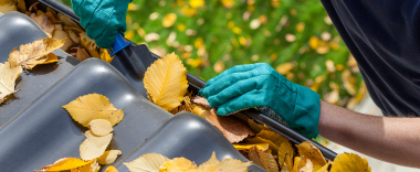Cinq actions a entreprendre avant l hiver.jpg Cinq actions a entreprendre avant l hiver.jpg