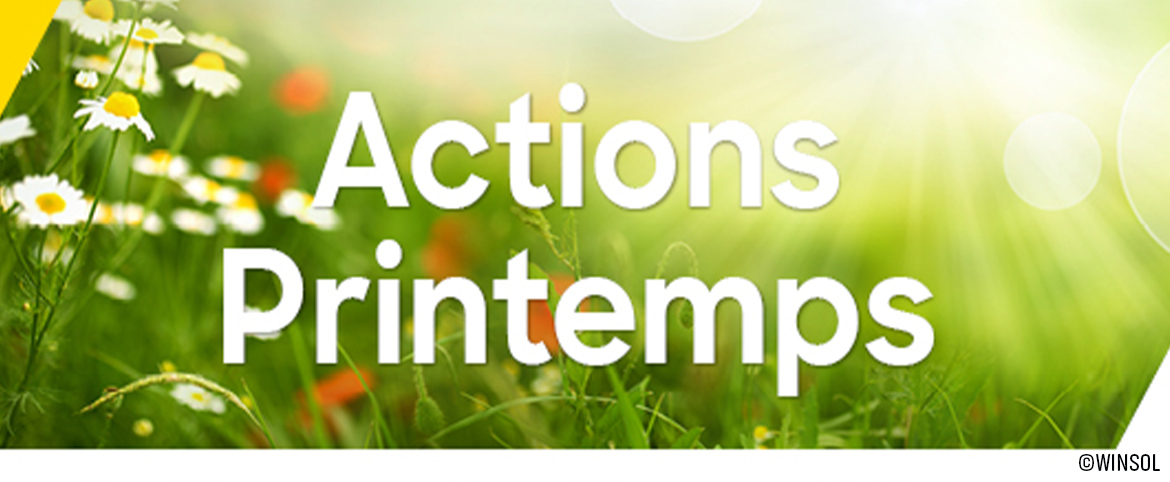 Base-Grand(ArticleSiteWeb)1170x482.jpg Base-Grand(ArticleSiteWeb)1170x482.jpg