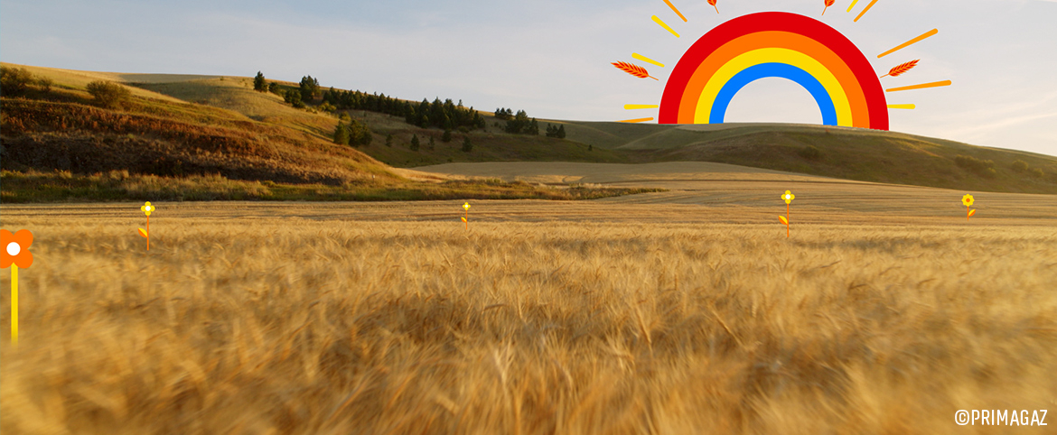 Base-Grand(ArticleSiteWeb)1170x482.jpg Base-Grand(ArticleSiteWeb)1170x482.jpg