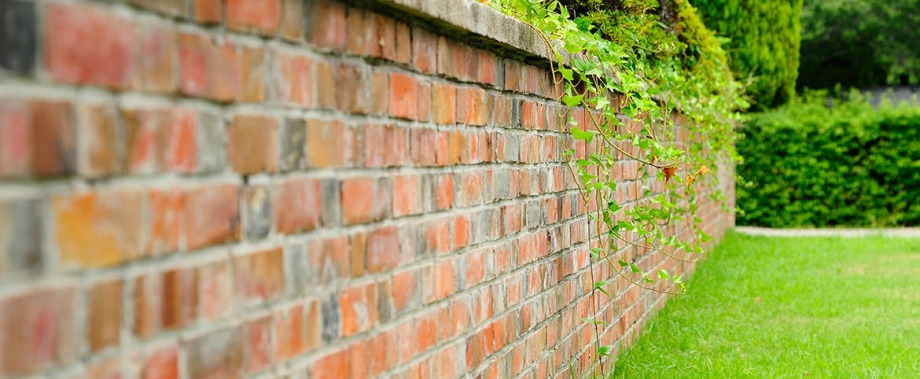 Construire sur le mur du voisin