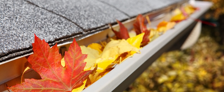 Automne entretient goutière