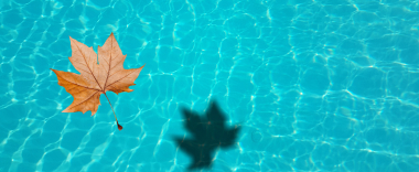 Base-Grand(ArticleSiteWeb)1170x482 1.jpg Base-Grand(ArticleSiteWeb)1170x482 1.jpg