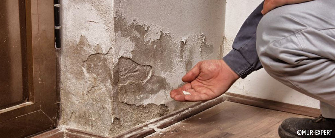 Mur-Expert : L’humidité ascensionnelle Mur-Expert : L’humidité ascensionnelle