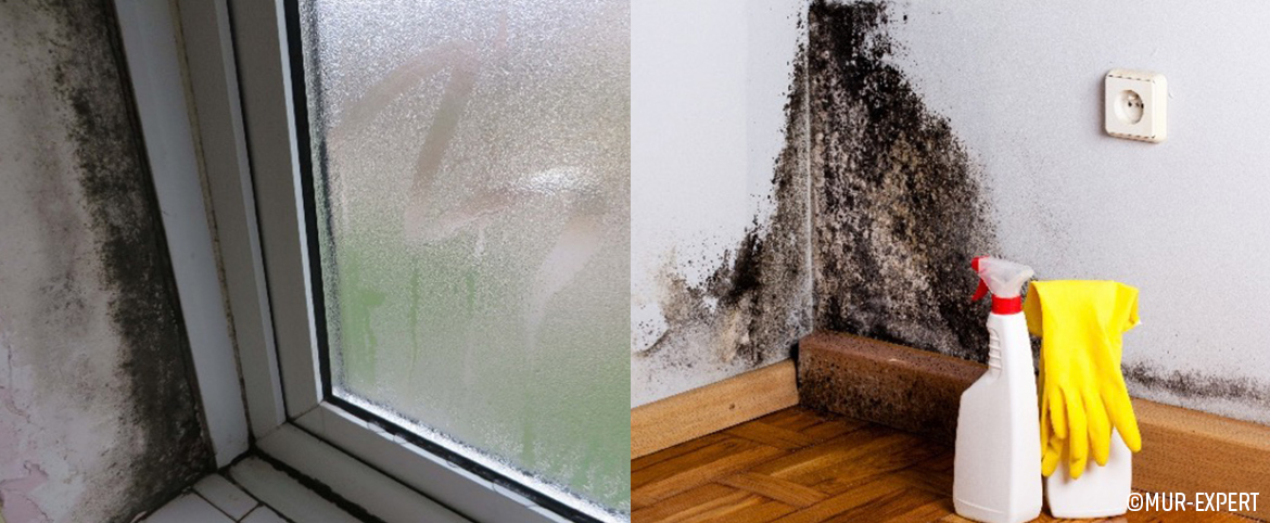 Condensation et moisissures Condensation et moisissures