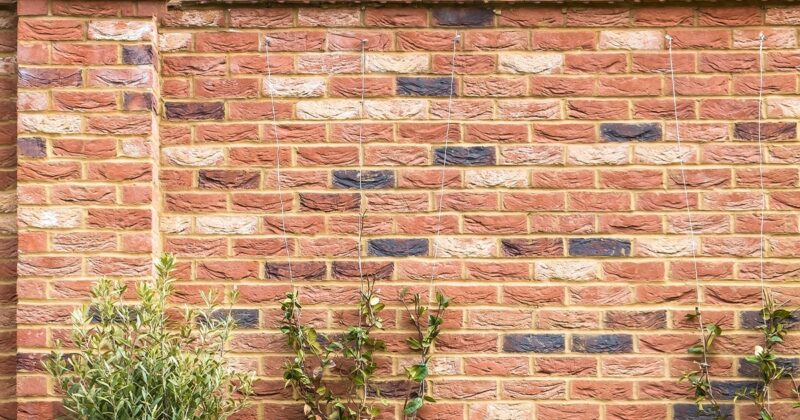 Votre voisin peut-il construire sur un mur mitoyen ?