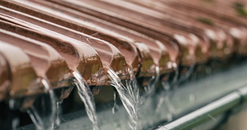 Récupérer l’eau de pluie : un geste simple pour un impact durable