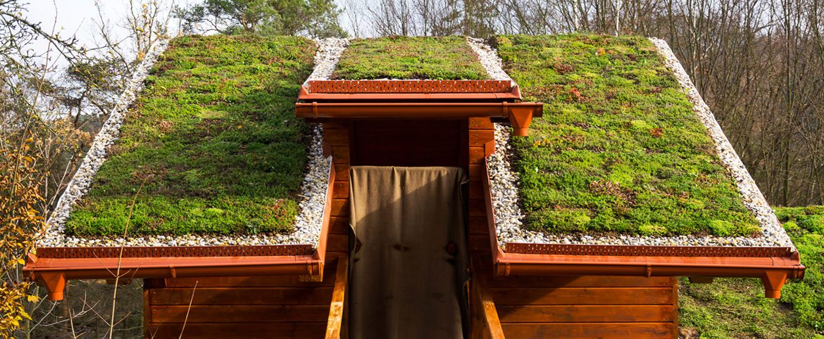 Toiture végétale installée sur une habitation