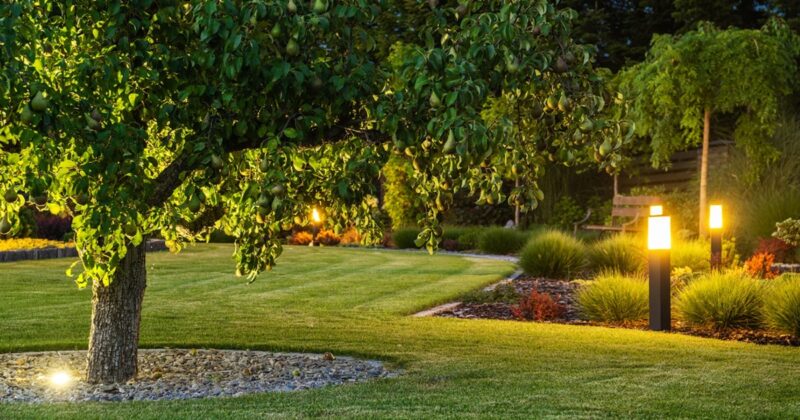 Électricité extérieure : anticipez vos raccordements pour un jardin pratique, sécurisé et évolutif