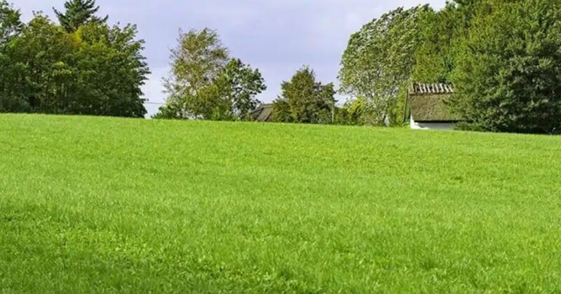 Acheter un terrain à bâtir : les points essentiels à vérifier avant de vous lancer