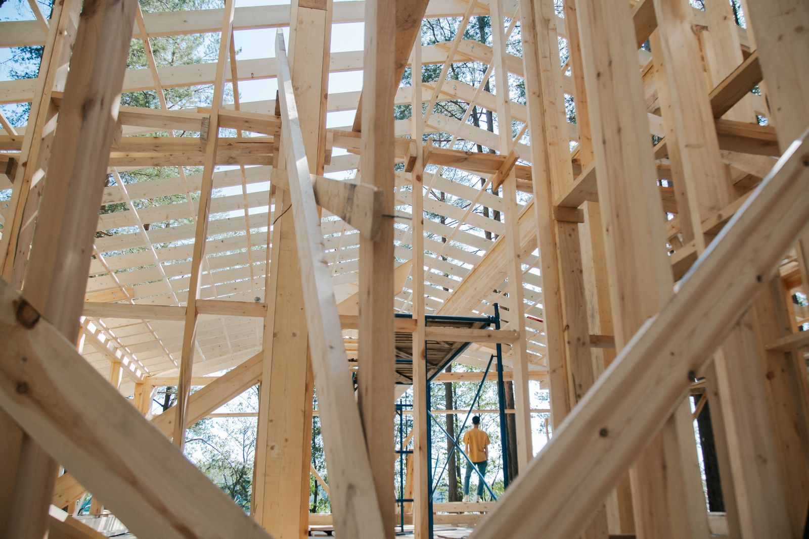%titre de l'article% Ossature bois en construction : la structure d’une maison à ossature bois