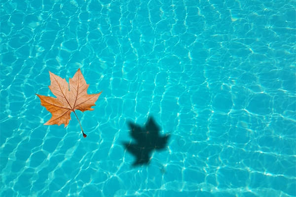 %titre de l'article% préparer maison hiver piscine chauffage gel